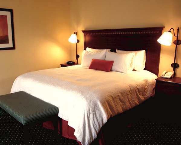 Hampton Inn Petersburg - Southpark Mall Colonial Heights Pokoj fotografie